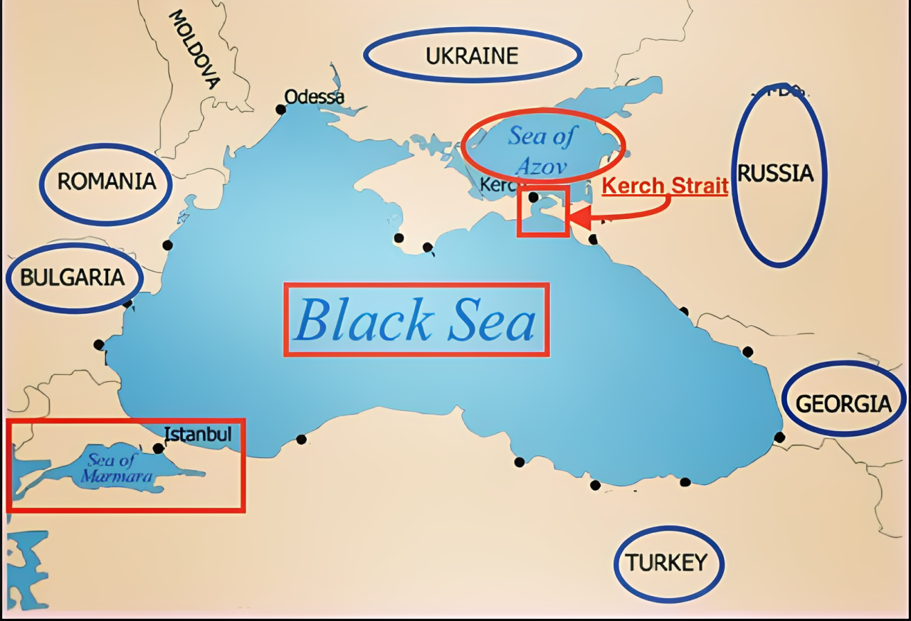 Turkish Salmon – The Black Sea’s New Rose-Coloured Gold